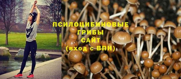 героин Няндома