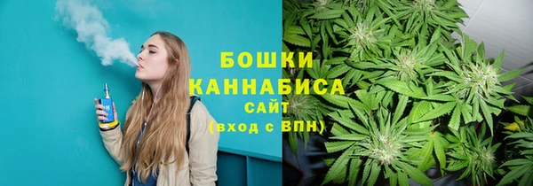 гидропоника Белоозёрский